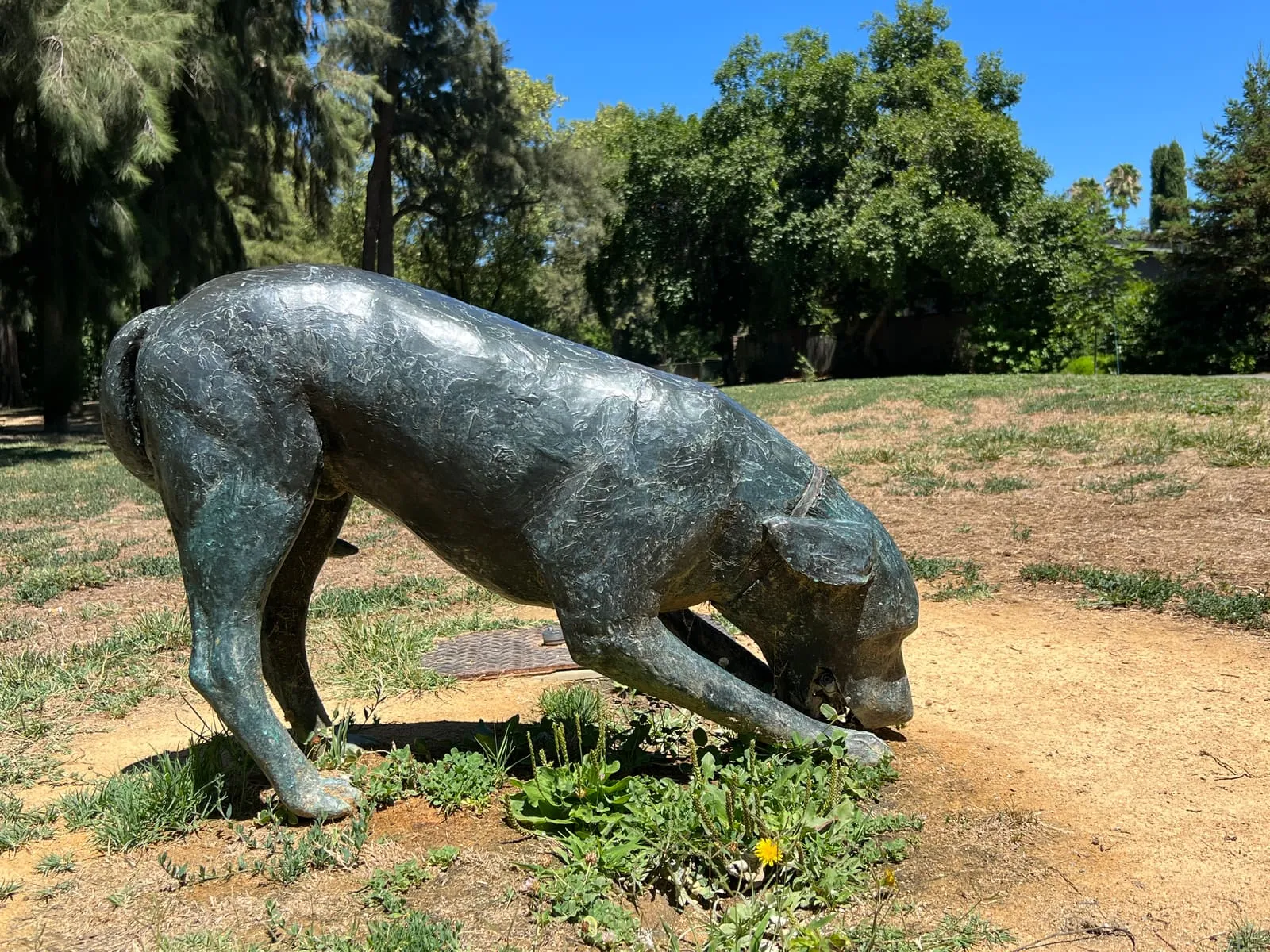 Covell Park neighborhood, Davis CA