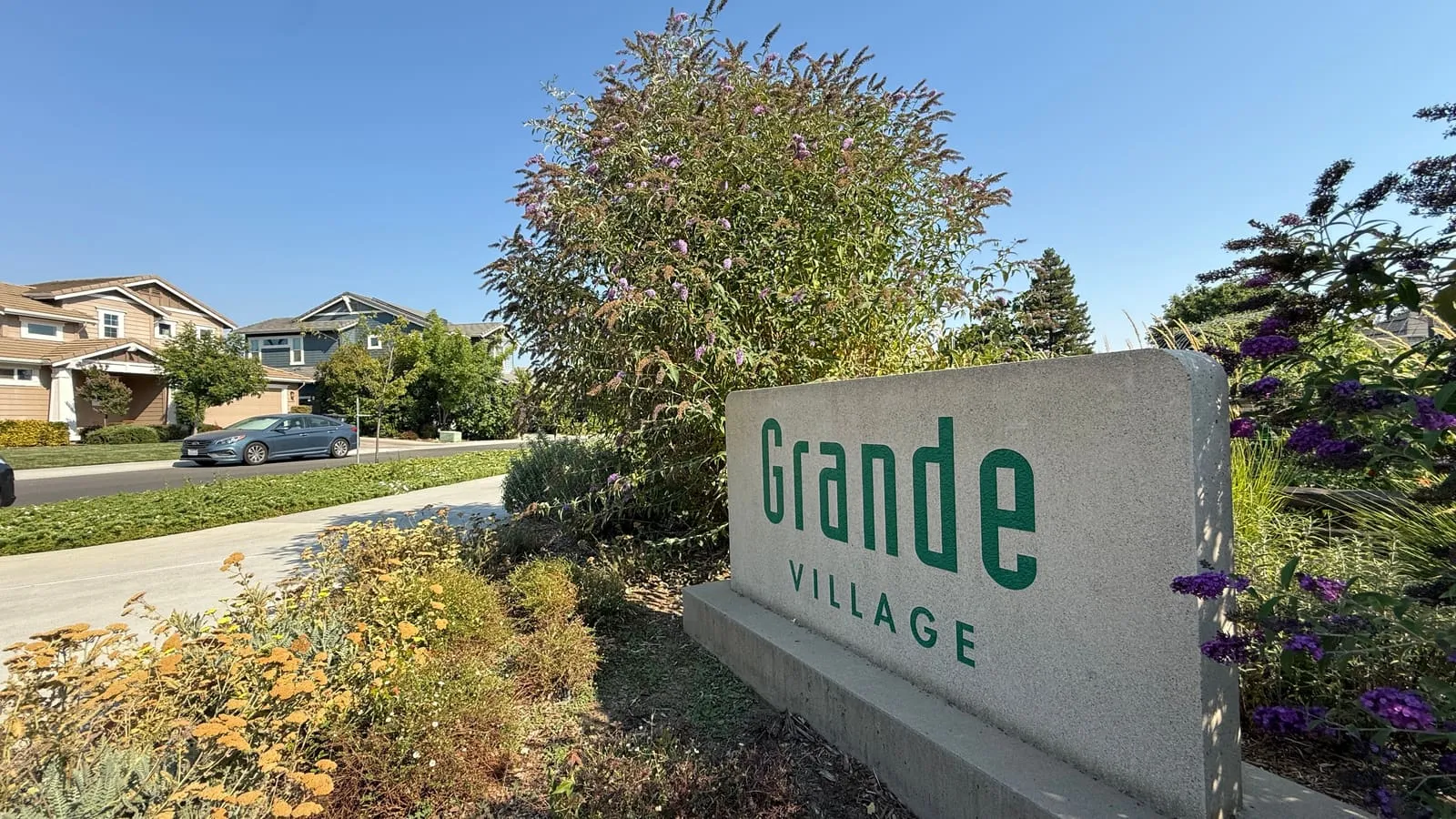 Grande neighborhood, Davis CA